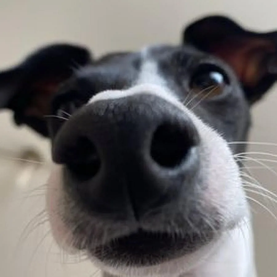 eyJidWNrZXQiOiJidWNrZXQubXkuaG90