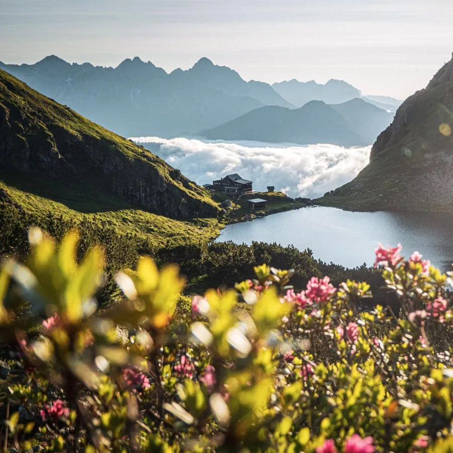wildseelodersee-am-morgen-tvb-pillerseetal-christof-willmsCchristofwillms