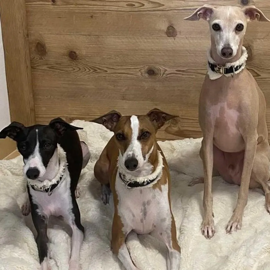 eyJidWNrZXQiOiJidWNrZXQubXkuaG90_1