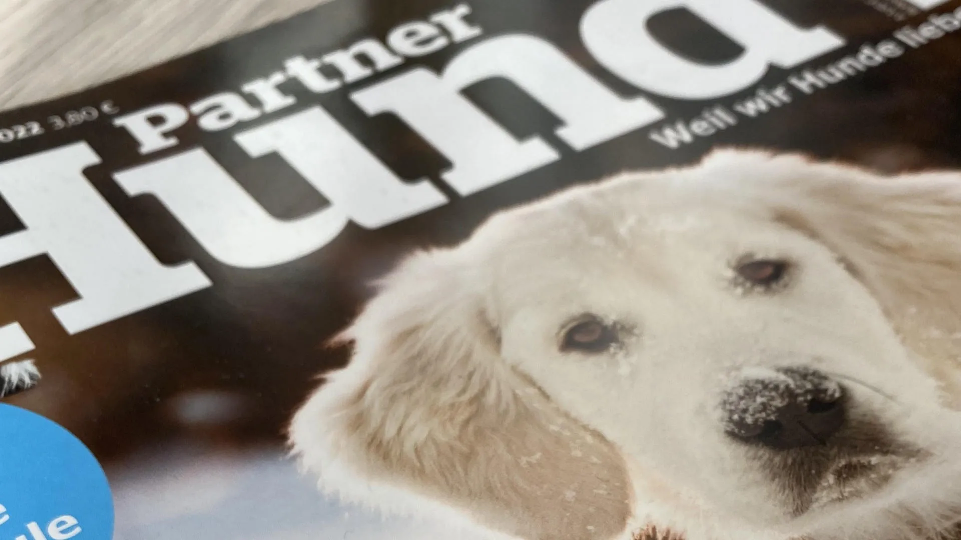 Zeitschriften_und_Infomaterial